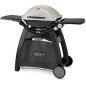Weber Q 3000 – Barbecue a gas compatto con carrello e griglie in ghisa