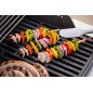 Barbecue gas WEBER Spirit E-220S Classic Barbecue gas WEBER Spirit E-220S Classic