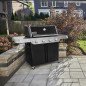 Barbecue gaz WEBER Genesis E-415