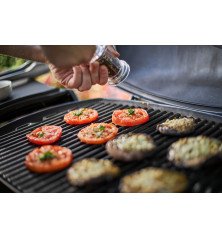 Barbecue électrique Weber Q2400 avec support + housse – 2200W – 10 personnes