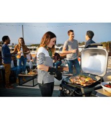 Weber Pulse 2000 barbecue électrique avec support – Pack complet pour 9 personnes – 2200W