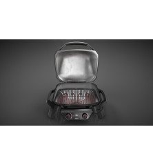Weber Pulse 2000 électrique avec support – Kit de démarrage