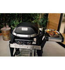 Weber Pulse 2000 électrique avec support – Kit de démarrage