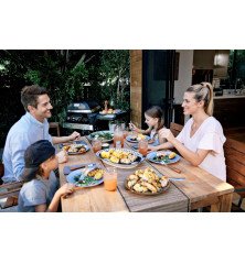 Weber Pulse 2000 électrique avec support – Kit de démarrage