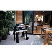 Weber Pulse 2000 électrique avec support – Kit de démarrage