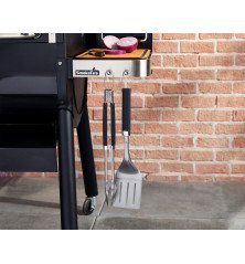 Weber Pulse 2000 électrique avec support – Kit de démarrage