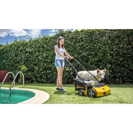 Balayeuse Aspirateur Garland 502 E-V Gazon Artificiel