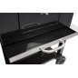 Barbecue Boretti Carbone 2.0