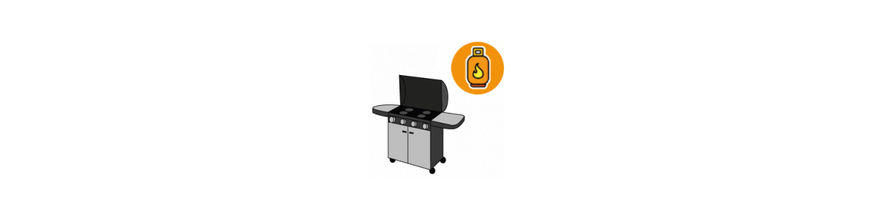 Barbecues à gaz